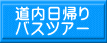 道内日帰り バスツアー